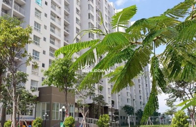 Cho thuê căn hộ đường Nguyễn Văn Linh.
